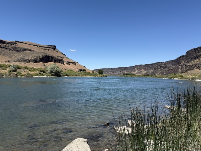 water's edge